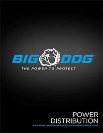 Download Our Big Dog Power Catalog